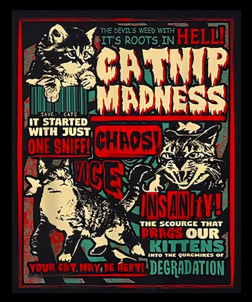 Catnip Madness Chaos! It Started With Just One Sniff Refrigerator Fridge MAGNET gallery