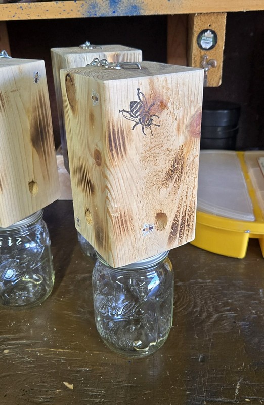 CARPENTER 'BORE' BEE TRAPS THAT WORK! gallery