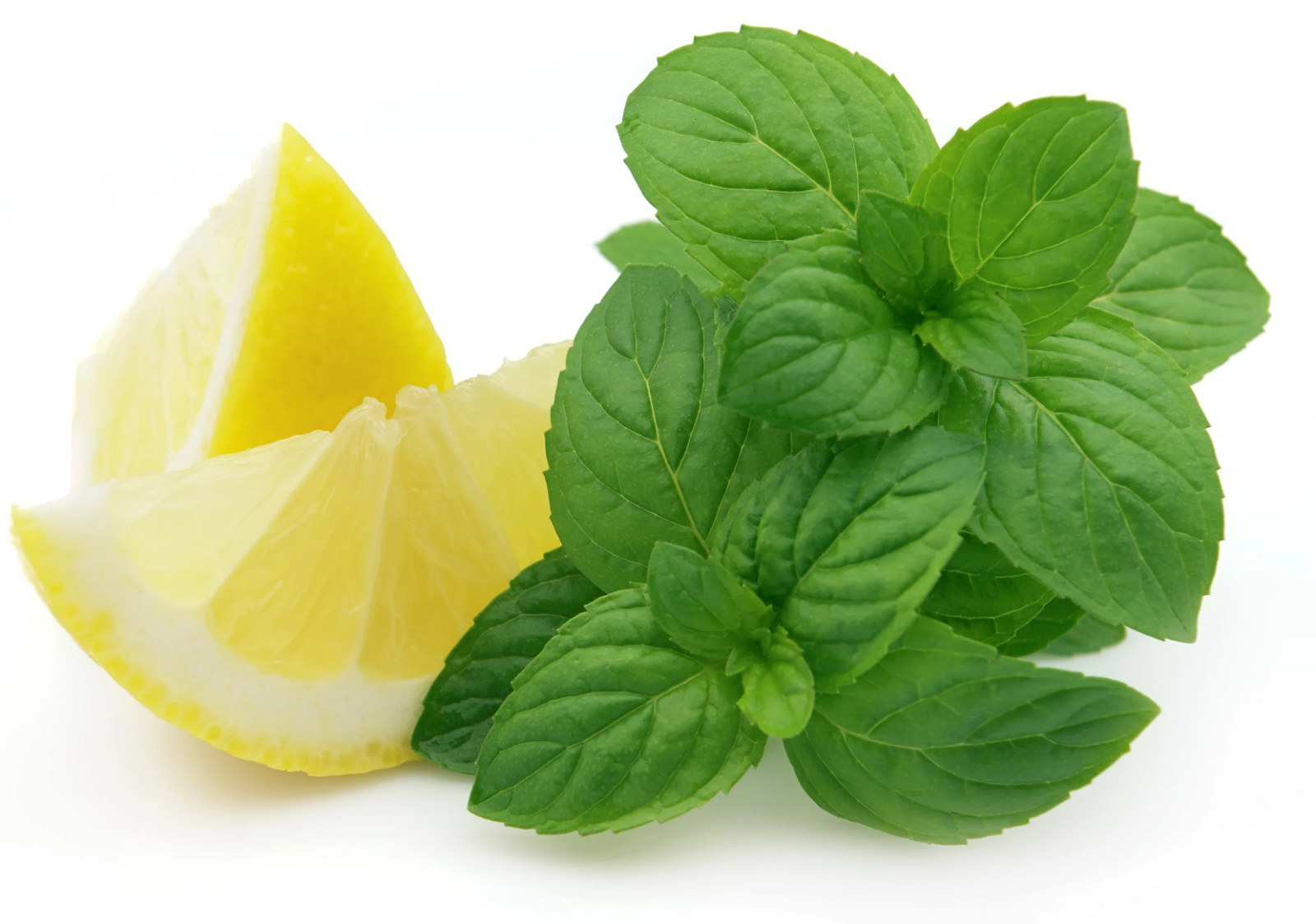 500+ Lemon Mint Seeds - Lemon Bee Balm - Heirloom - Organic - NON GMO -- FRESH gallery