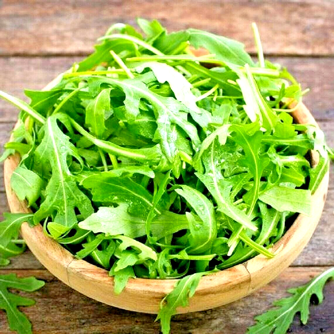 200 ARUGULA SEEDS SPRING GARDEN VEGETABLE SALADS HERB MICROGREENS NON-GMO USA gallery