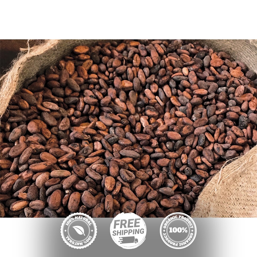 100+ Organic Ceylon cocoa Seeds-Theobroma Cacao Fruit Chocolate Seed Freeshiping gallery
