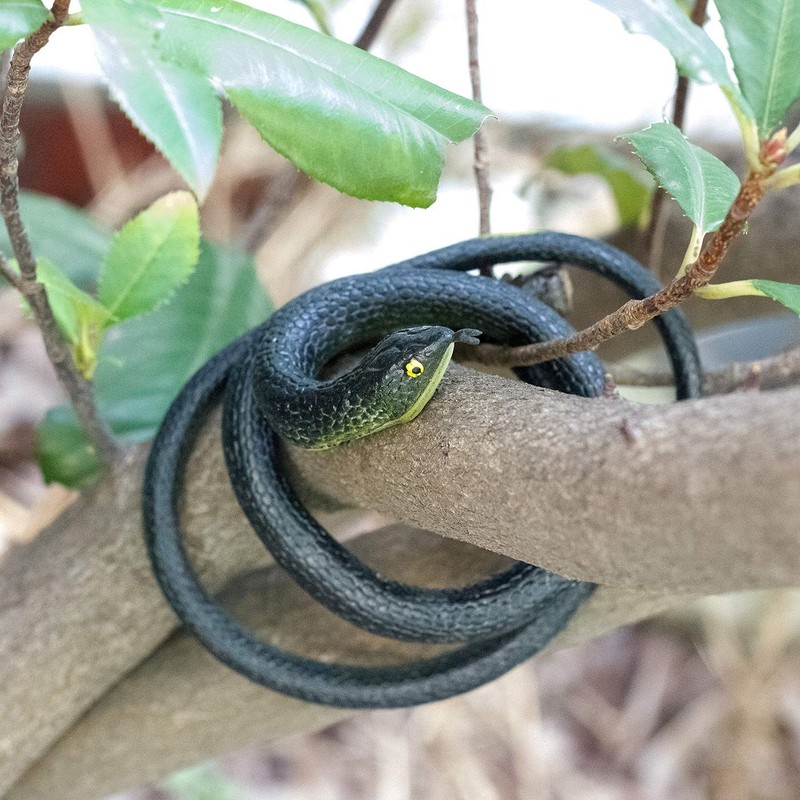 3 Pack Realistic Rubber Snakes for Garden Props Birds Squirrels Mice Scare Toy gallery