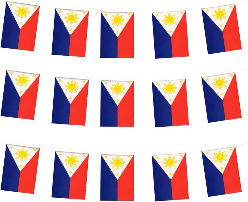Norway Flag Norwegian Flag, Small String Norway Flags Mini Norwegian Flags Banne gallery