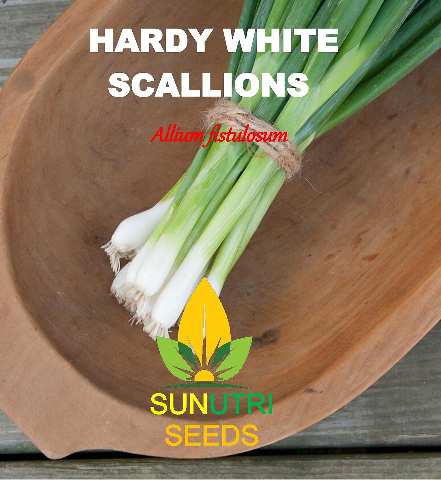 Scallion Bunching Onion Seeds, 250+ Evergreen Hardy White, Heirloom, White gallery