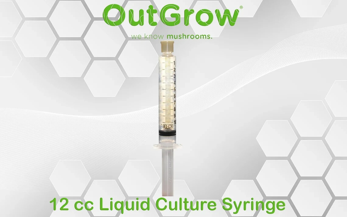 White Button Mushroom (Agaricus bisporus) Liquid Culture gallery