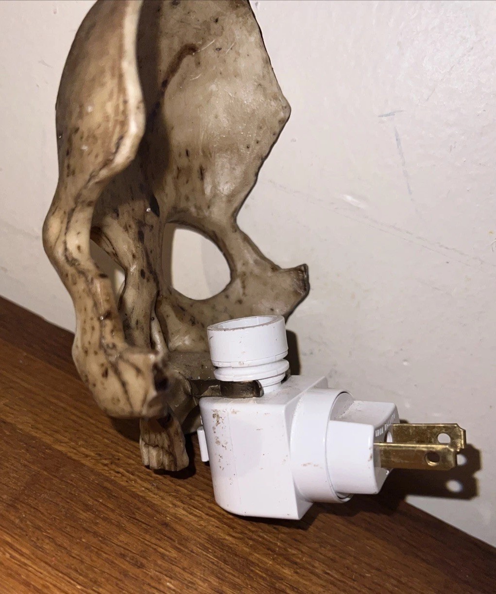 Realistic Skull Skeleton Night Light Halloween Prop Everyday Use Fun Might Light gallery