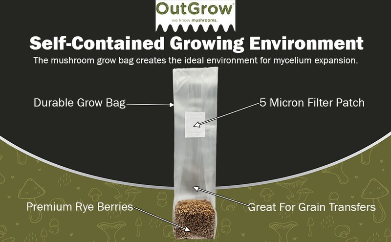 Sterilized Rye Berry Mushroom Substrate (24 One Pound Bags) gallery