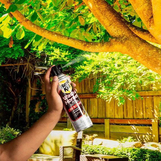 15oz Wasp & Hornet Killer Spray – Instant Knockdown Aerosol Can gallery
