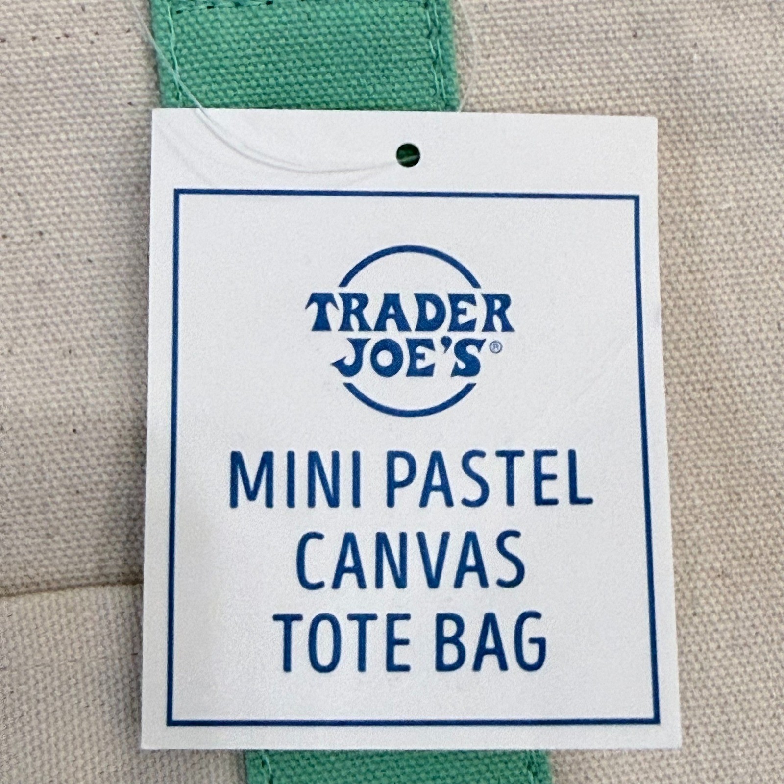 Trader Joe's Mini Pastel Canvas Tote Bag Teal Green Cream NWT 79986 gallery