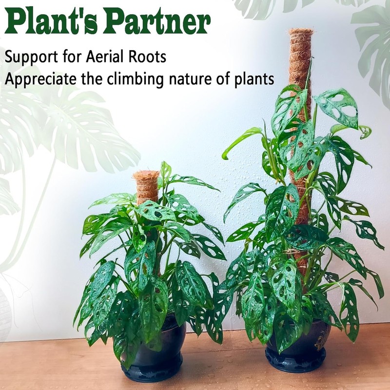 Moss Pole Plant Support Stake Coir Vertical Expandable for Monstera Pothos gallery