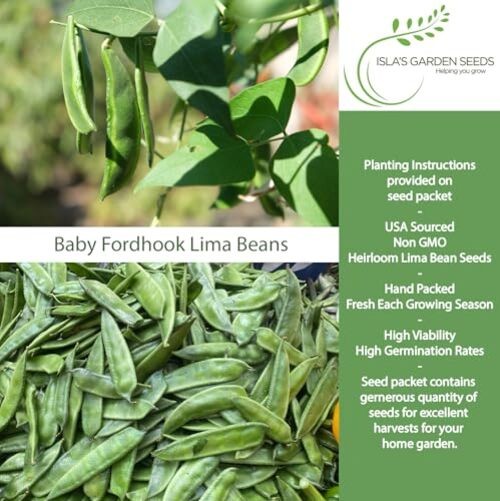 Baby Fordhook Lima Bean Seeds (Bush Lima, Phaseolus lunatus) – 25 Non GMO gallery