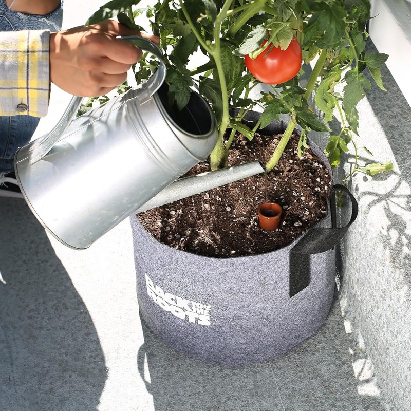 Self-Watering Terracotta Olla Pot (Pack of 3), 700Ml Provides 1 Week of Precisio gallery