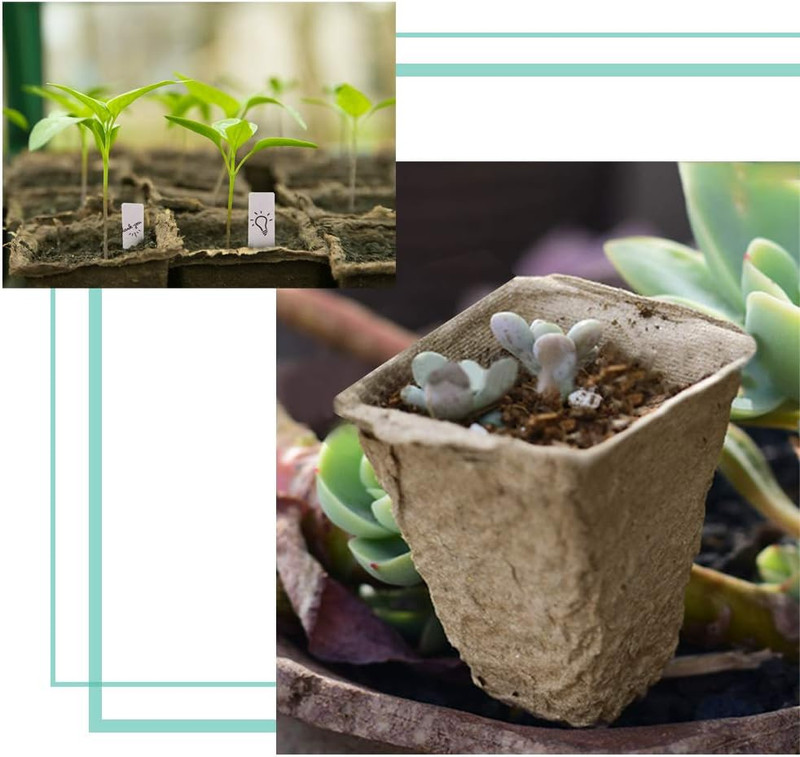 30 Pack Peat Pots 3.25" Biodegradable Seed Starter Garden Plant Pots gallery