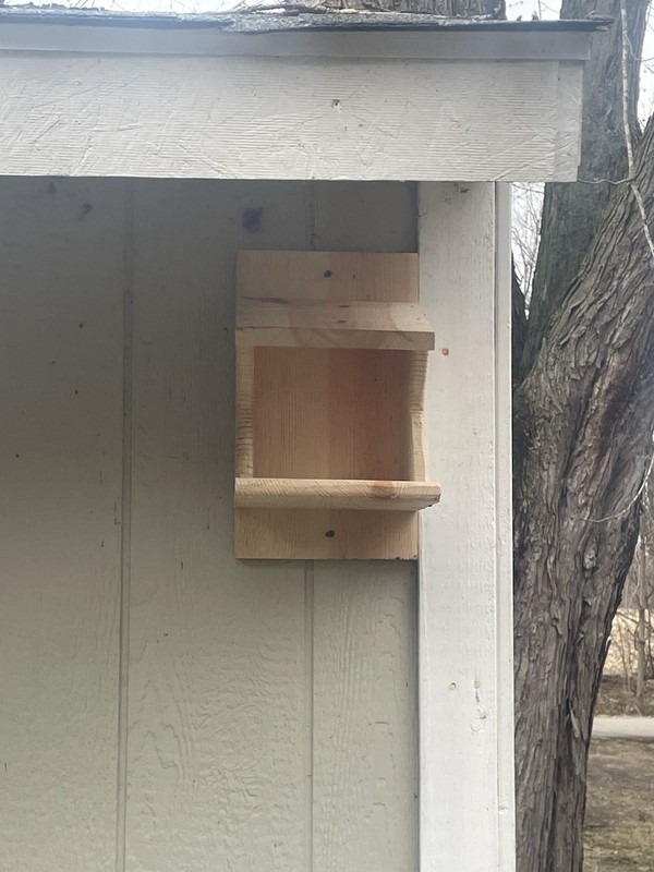 Pine Wood Robin Nesting Box~Dove Nesting Box~Cardinal Home~phoebe Nesting Box gallery