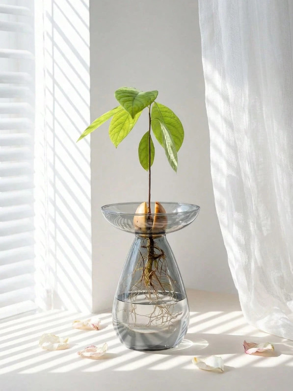 Avocado Shaped Glass Vase Seed Germination Growing Planter Propagation Kit Gift gallery
