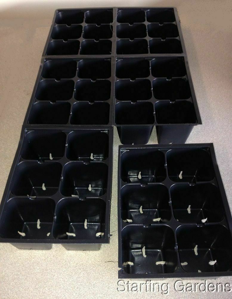 Seed Starting Kit, 2 Seed Trays, 2 Inserts, 2 Dome Lids, Seedling Starter Kit gallery