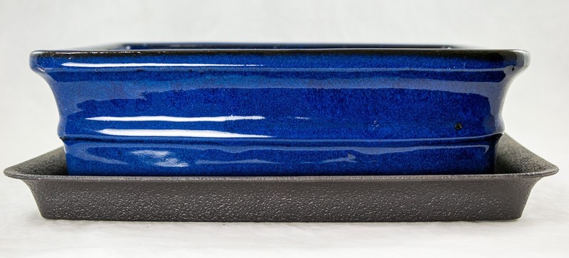 Rectangular Bonsai, Succulent Pot 10"x 8"x 3.25" + Tray + Mesh Dark Blue Glazed gallery