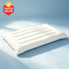 Flat Pillows for Sleeping Thin, 7D High Support 2.5 Inch Height Ultra Thin Pillo