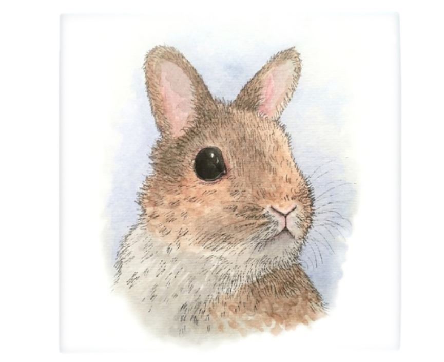 Large Ceramic Tile 6x6 Printed in USA Rabbit 62 bunny art painting by L.Dumas gallery