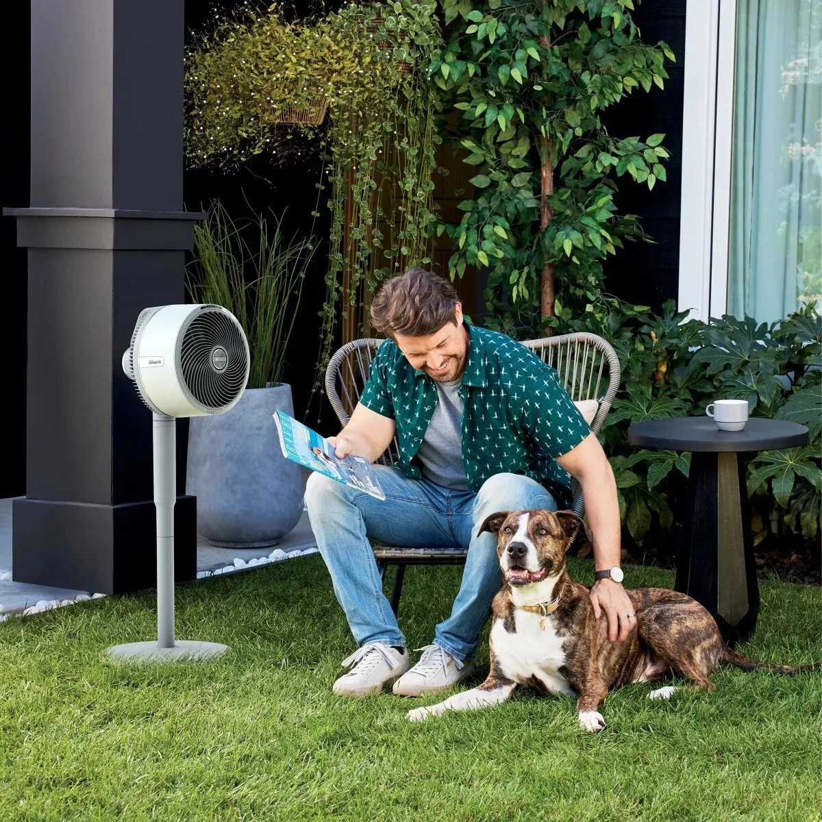 SHARK FLEXBREEZE CORDLESS FAN PEDESTAL TO TABLETOP CAPABILITIES UH205 - GRAY gallery