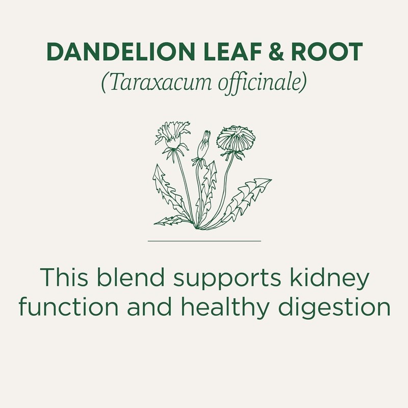 Detoxifying Dandelion Leaf & Root Tea - Organic, Compostable, 16 Bags for Health gallery