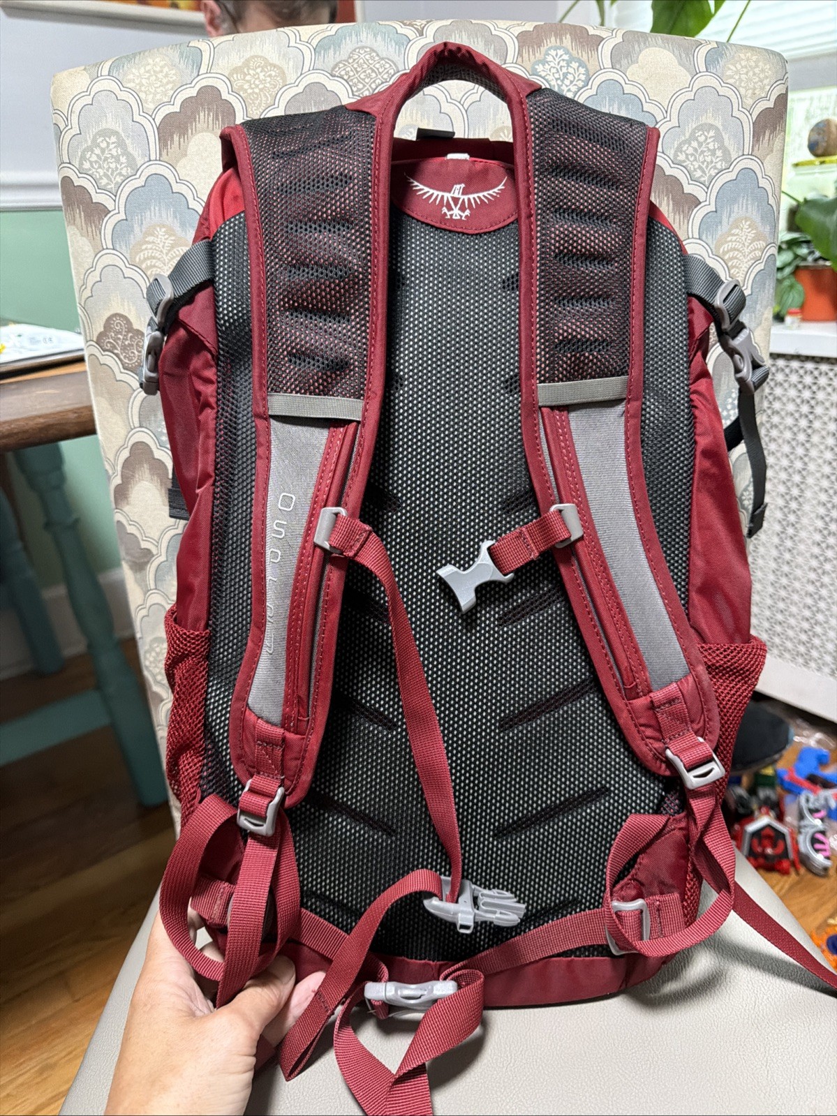 Osprey Daylite Plus Backpack Red Terrapin Beer Co 4
