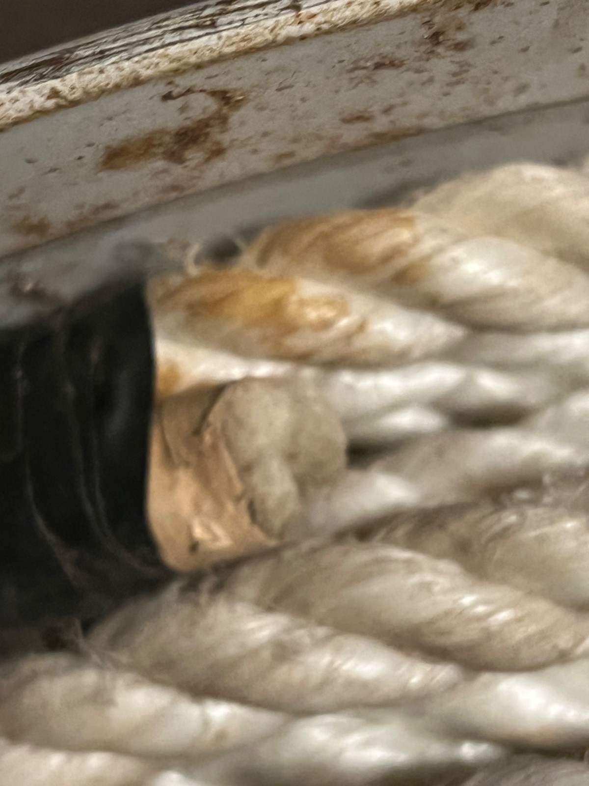 Rope Poly Dacron Polyester 3 Strand Utility Line - 1/2 inch diameter 75+ feet gallery
