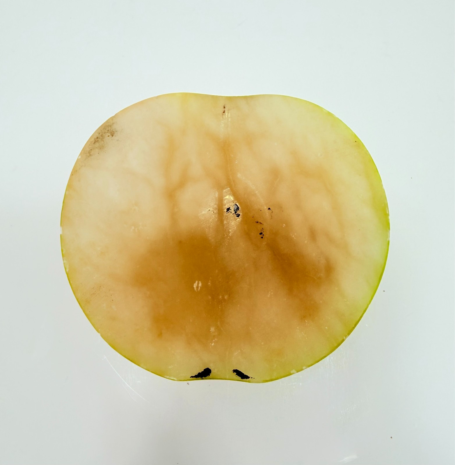 Antique Italian Alabaster Stone Half Apple w/ Wedge Slice Trinket Bowl Sculpture gallery