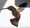Hummingbird - Metal Wall Art - Copper 6" x 6" gallery