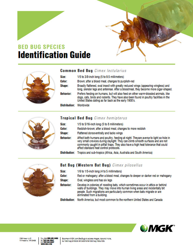 13 oz CrossFire Bed Bug Control Concentrate Kill Bedbugs and Eggs ~ Cross Fire gallery