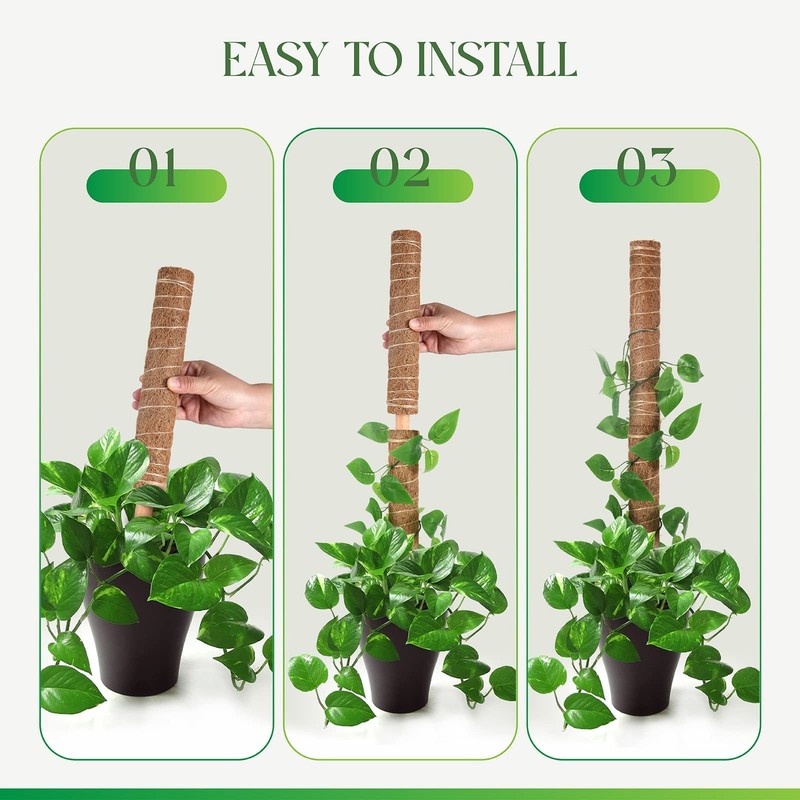 Moss Pole for Plants Monstera, Extendable Plant Sticks Support, Plant Stakes ... gallery