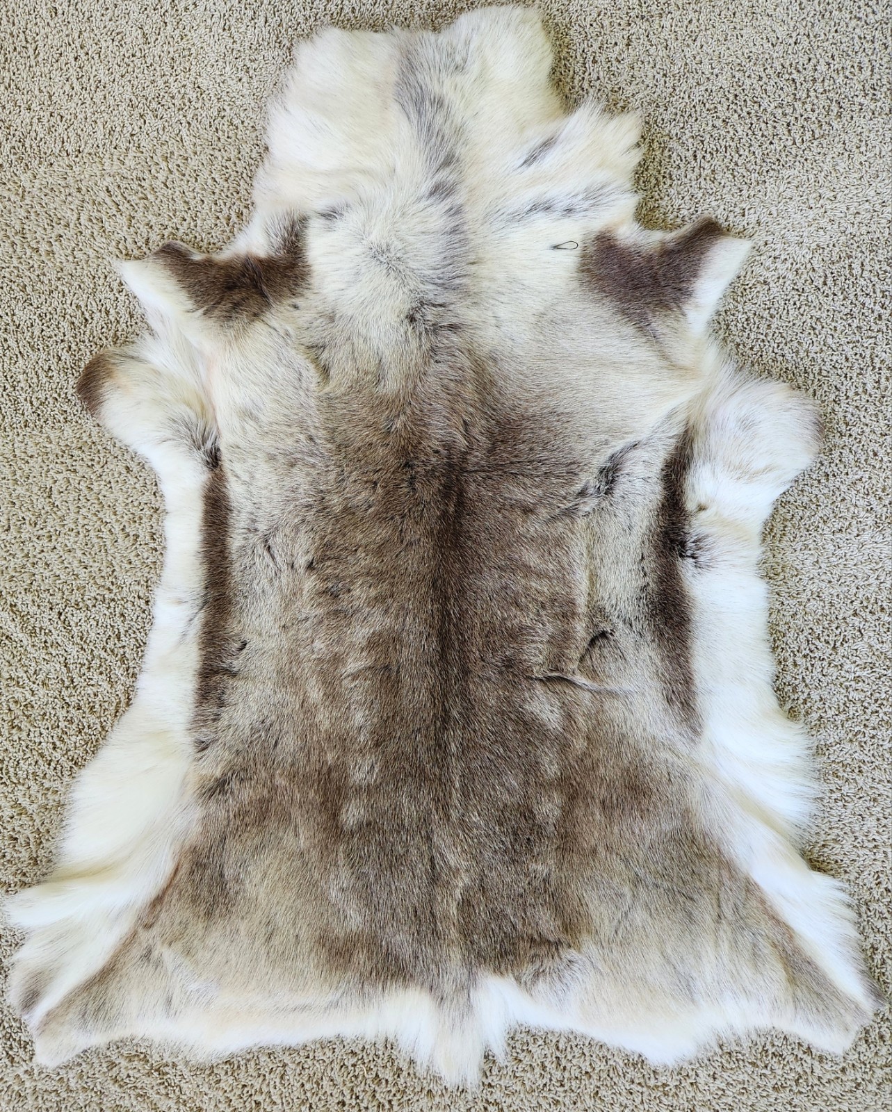 Authentic Icelandic Reindeer Hide Rug Throw Decorative Fur Skin Nordic Decor gallery