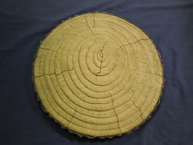 Log End Stepping Stone Plaster or Concrete Mold 1303 Moldcreatons gallery