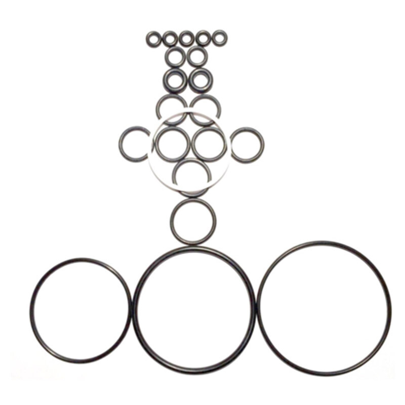 246355 A-Quality O-ring Rebuild Kit fits Graco Fusion Gun AP BEST AVAILABLE! gallery