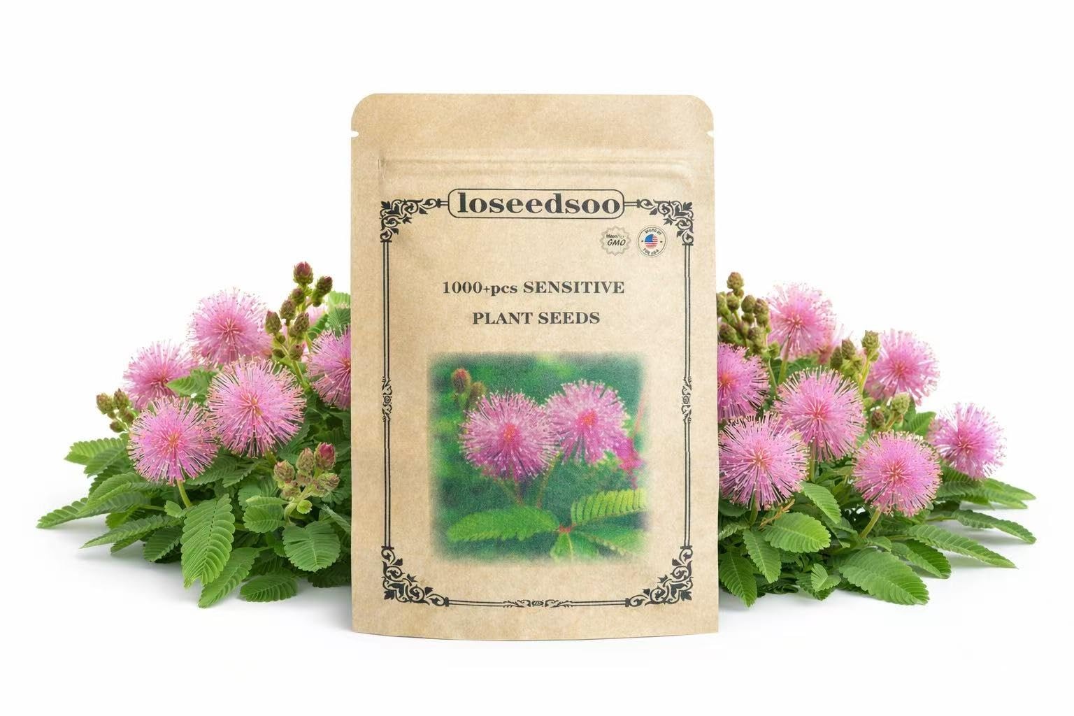 1000+ Sensitive Plant Seeds for Planting – Mimosa Pudica Touch Me Not Seeds, ... gallery