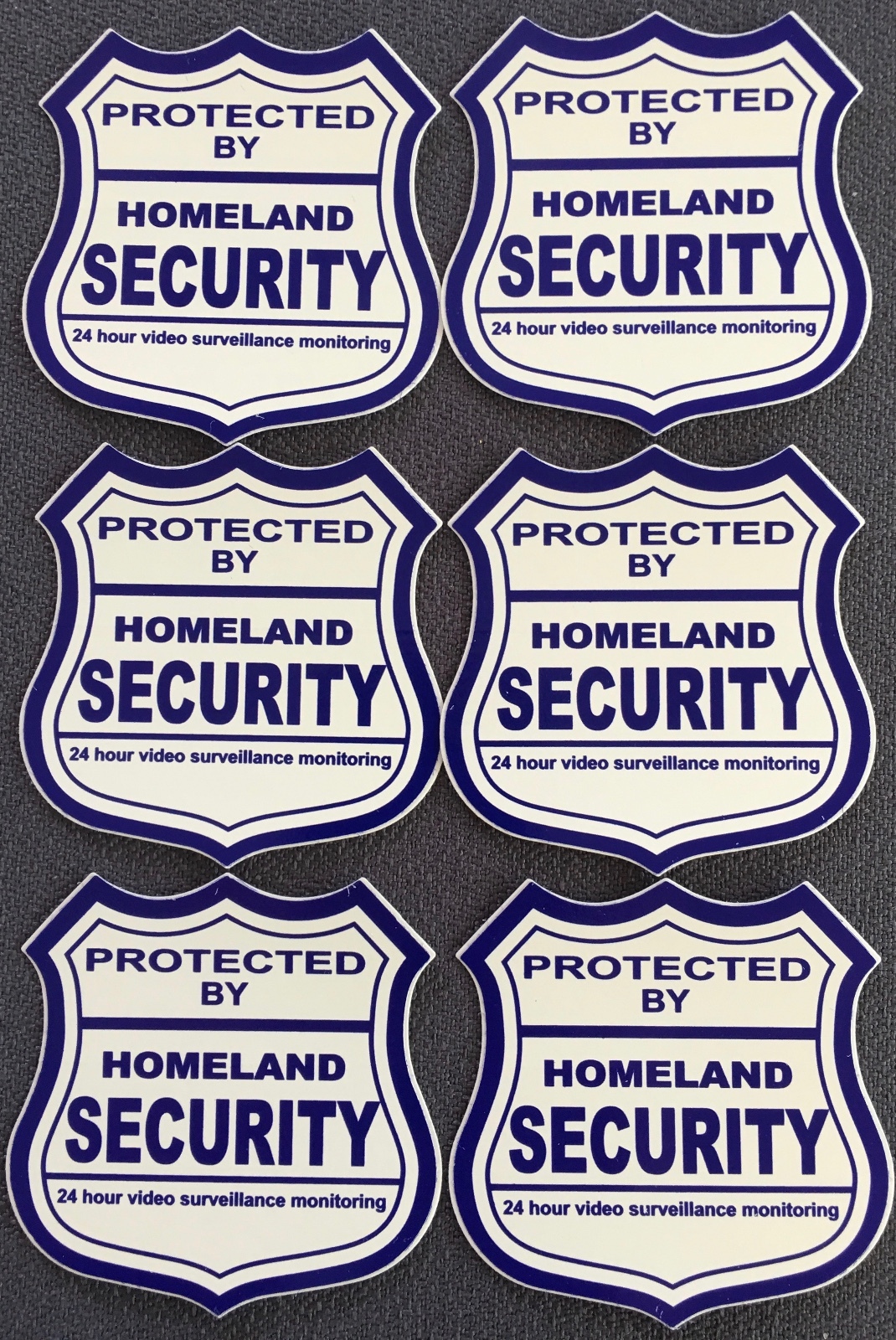 6 - HOMELAND SECURITY....... WINDOW DECALS gallery