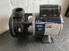 Aqua Flo Gecko Circulating Pump CMCP, 1/15hp, 230v, 1-1/2", OEM gallery