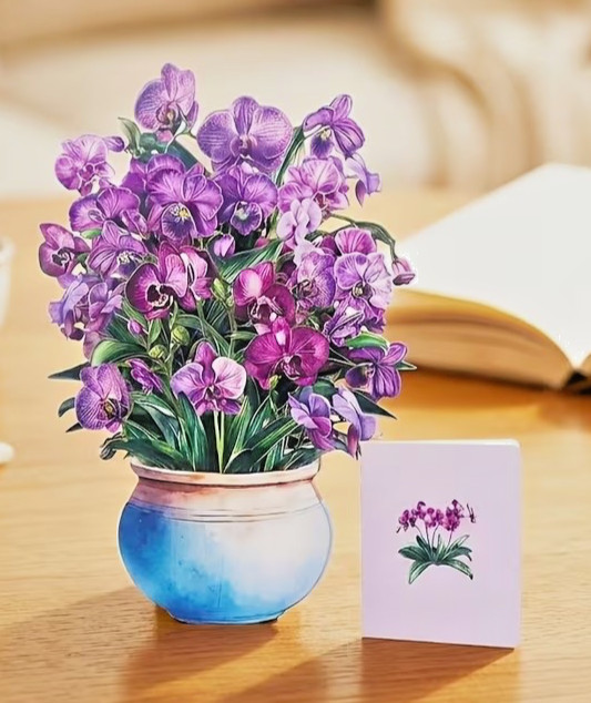 3D Pop-up All Occasions/ Birthday, WITH NOTE CARD gallery