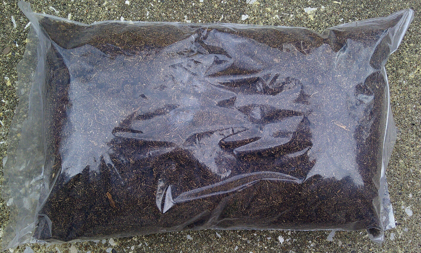 Organtic Sphagnum Peat Moss 1 Gallon Free Shipping gallery