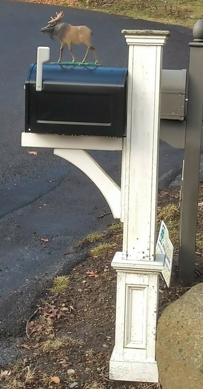 Mailbox topper / ornament, MAJESTIC MOOSE. Solid aluminum will not rust AS SHOWN gallery