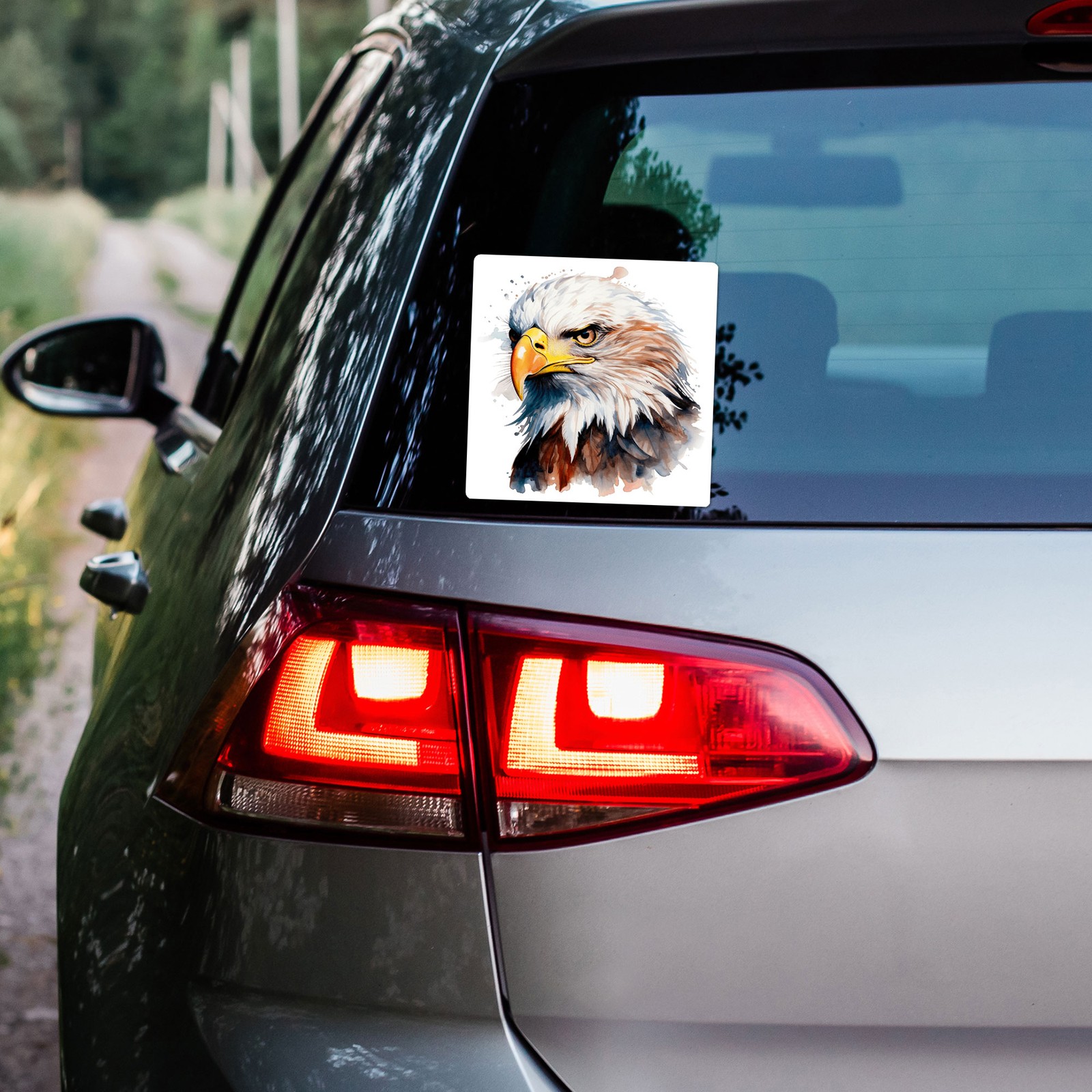 Bald Eagle Head - Vinyl Decal Sticker - Car Window Laptop - ebn9728 gallery