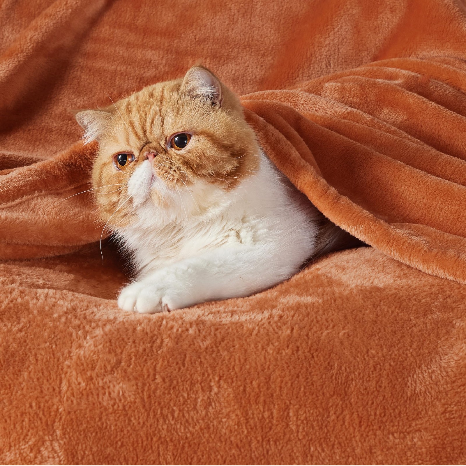 Plush Fleece Blanket, Mango Burnt Orange, Ultra Soft 300GSM, Lightweight gallery