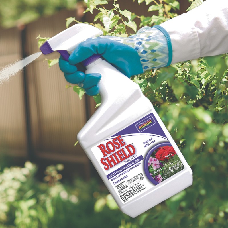 Bonide, rose shield RTU 32 oz., insect and disease control gallery