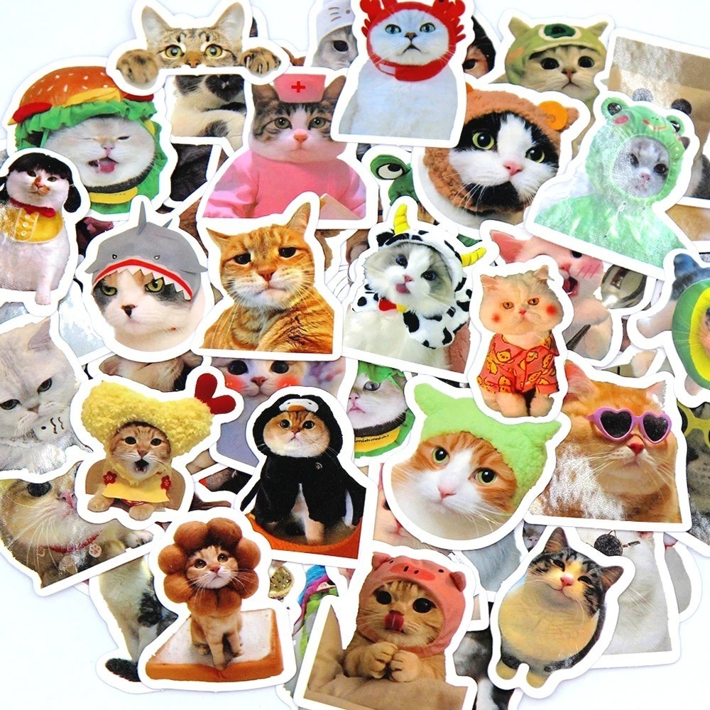 100pcs Funny Cat Meme Stickers Cartoon Decals For Guitar Phone Bicycle Laptops gallery