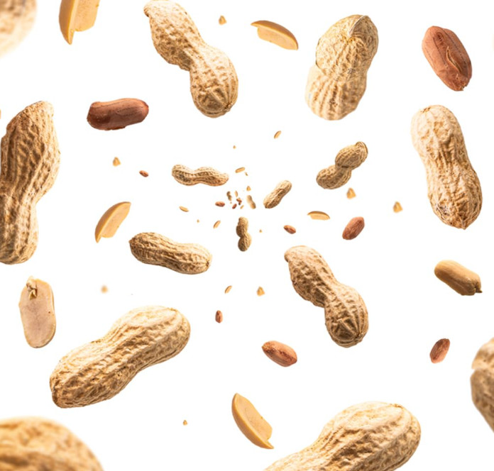 Naturalee Peanuts, Plain In Shell 2 lbs - Raw, Unsalted - Natural Healthy Snack, gallery