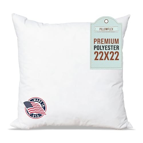 Premium Polyester Throw Pillow Insert - 22x22 - Ultra Soft 22 Inch by 22 Inch gallery