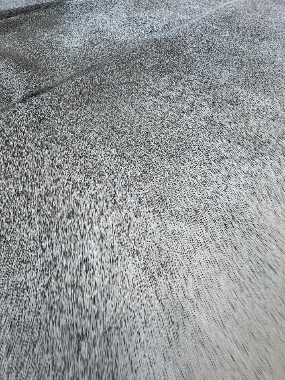 X- LARGE SALT & PEPPER COWHIDE RUG GENUINE COW HIDE LEATHER CARPET HAIR ON SKIN gallery