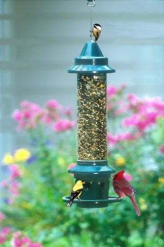Brome Squirrel Buster Plus Bird Feeder w/ Cardinal Perch Ring 1024 - Squirrel gallery