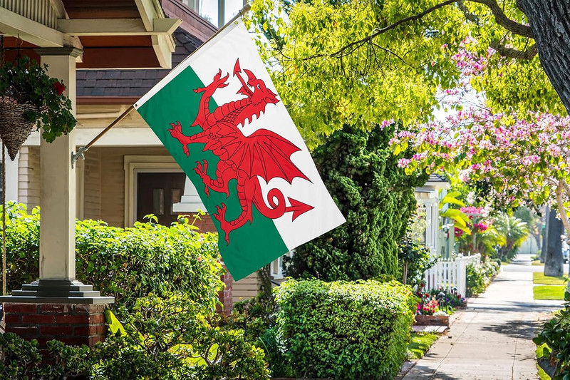 DANF Wales Flag 3X5 Ft Thick Polyester, Fade Resistant, Brass Grommets, Canvas H gallery