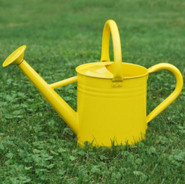 Gardener Select Metal Watering Can, Lemon - 3.5L (0.92 gallons) gallery